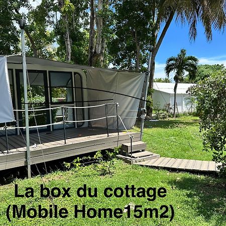 Le Cottage De Castaing Sur Plage Privee ساينت آن المظهر الخارجي الصورة