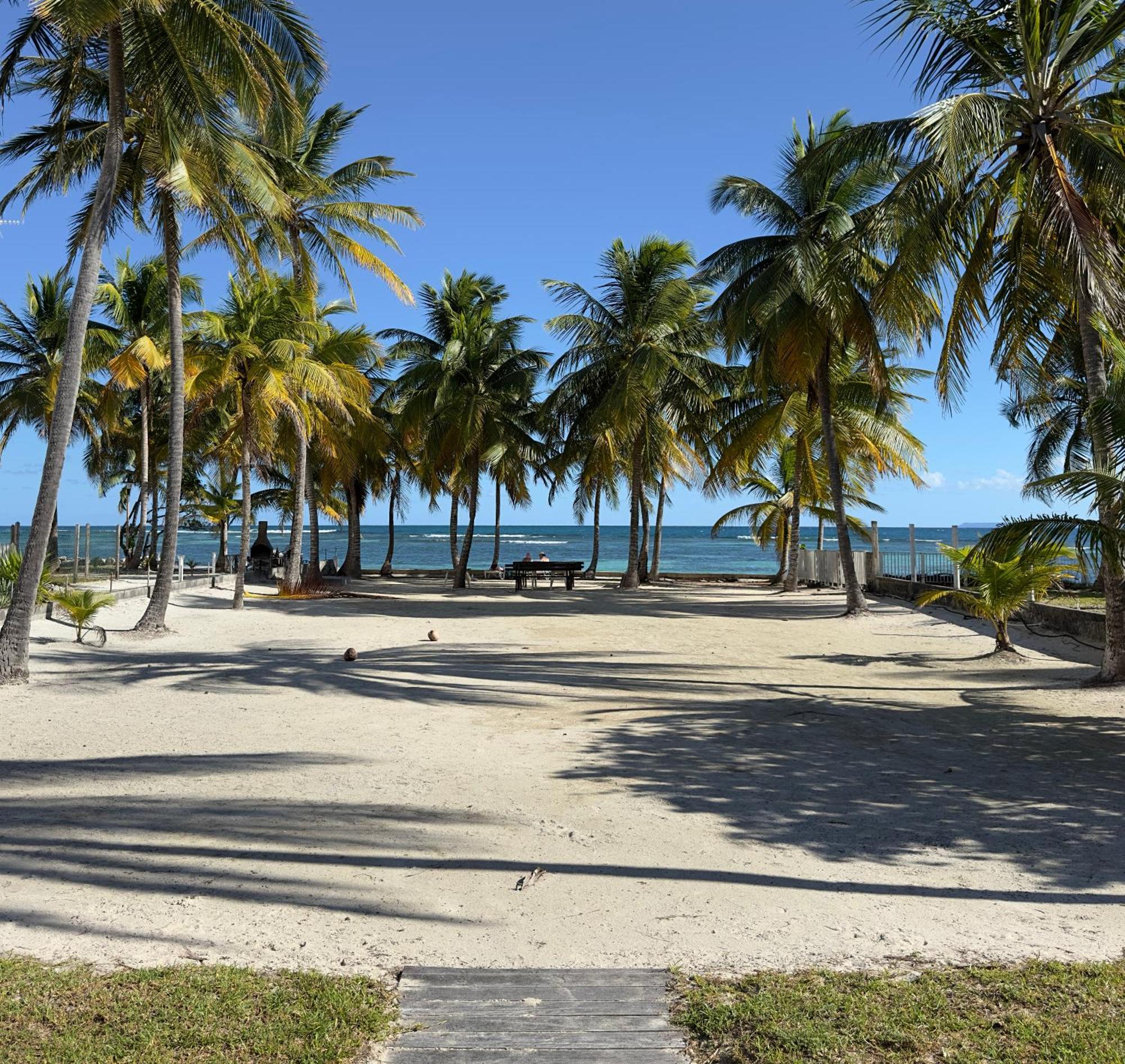 Le Cottage De Castaing Sur Plage Privee ساينت آن المظهر الخارجي الصورة